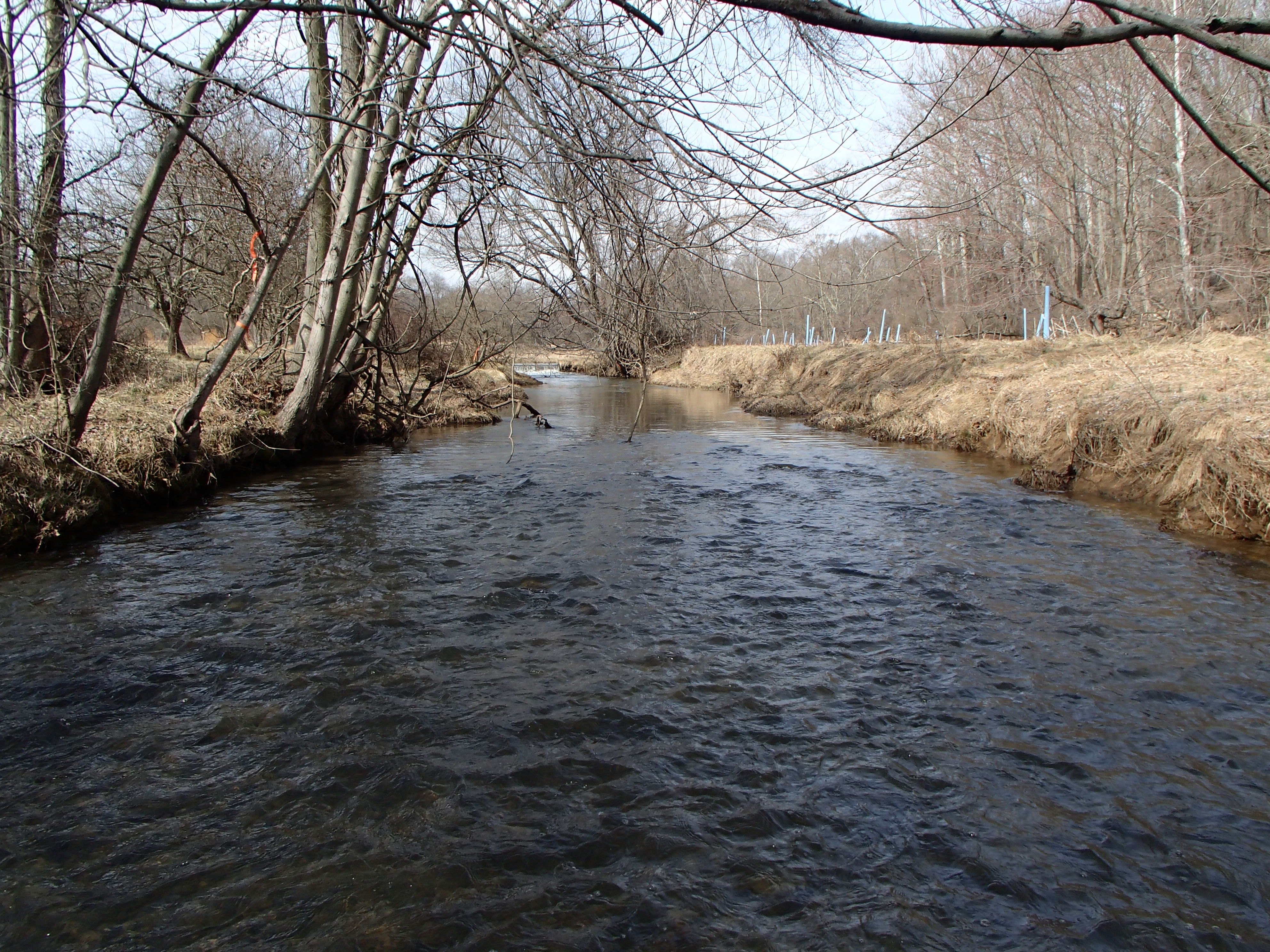 Field photo showing stream conditions at site SBPA-204-X-2016_midpoint looking upstream